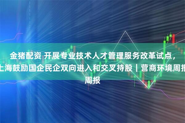 金猪配资 开展专业技术人才管理服务改革试点，上海鼓励国企民企双向进入和交叉持股｜营商环境周报